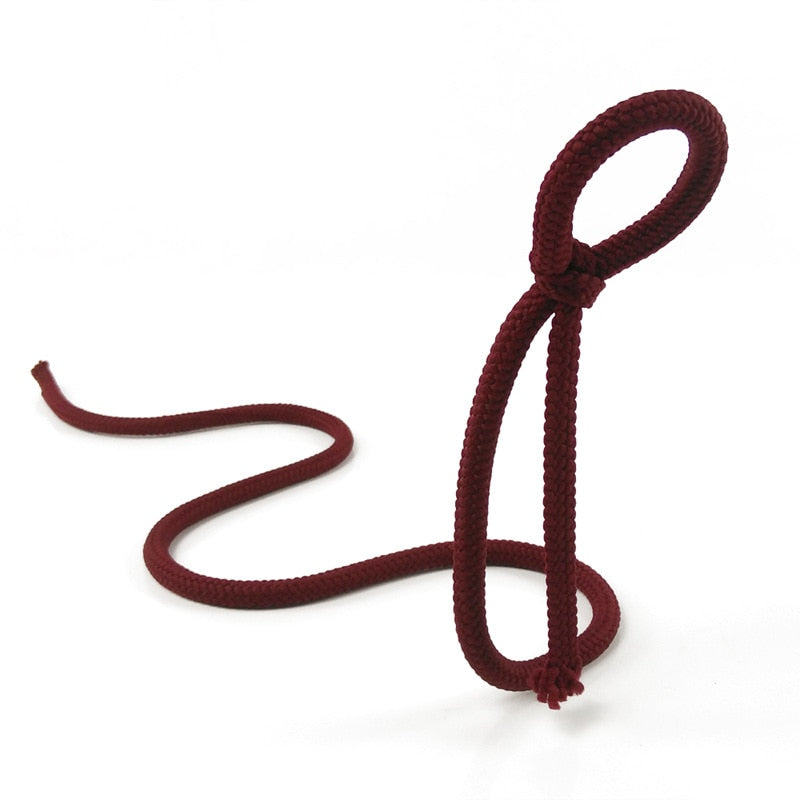Creative Suspended Rope Wine Rack - Snake Bracket Wine Bottle Holder -Bar Cabinet Display